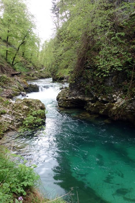 Exploring the Emerald Waters of the mind blowing Vintgar Gorge, Slovenia, things to do in Slovenia, things to do in bled, nature, beautiful, emerald water, adventure, photography, europe, triglav national park, julian alps