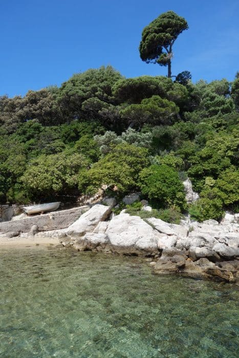 Lokrum island, dubrovnik, croatia, how to get to lokrum, price, ferry, boat, timetable, times, peacocks, wildlife, things to do, nudest beach, forest, things to do in Dubrovnik, 