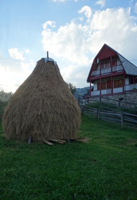 An amazing adventure through the Romanian countryside to hike above the Transfagarasan highway, Brasov, dracula, vlad the impaler, Transylvania, Carpathian mountains, Busteni, Cabana Babele, hiking, trails, where to hike, Romania, climbing, adventure, explore, holiday, backpacking, mountain, trail, alps, routes, via ferata, via ferrate, scrambling, cable car, price, time, how to get to Busteni, Buşteni, Valea Jepilor, Juniper Valley,Bucegi Mountains, Piatra Arsă,Transfagarasan, Ceaușescu, Romania, The best road in the world, top gear, lake Balea, Lezerul Caprei, 2418m / 7933ft, cycling event, go pro, horse and cart, gypsy, countryside, 