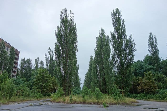is it safe to visit Chernobyl, Chernobyl tours from Kiev, can you visit Chernobyl without a guide, Chernobyl day trip, cheap Chernobyl tour, tour chernobyl, Ukraine, UrBex, Urban Exploration, pripyat, Call of Duty, communism, soviet union, soviet, how to visit Chernobyl, При́пять, exclusion zone, amusement park, ferris wheel, hospital, Prípyat, При́п'ять, Prýp'jat, Чорнобиль, Чернобыль, Kiev, Belarus, Lenin 
