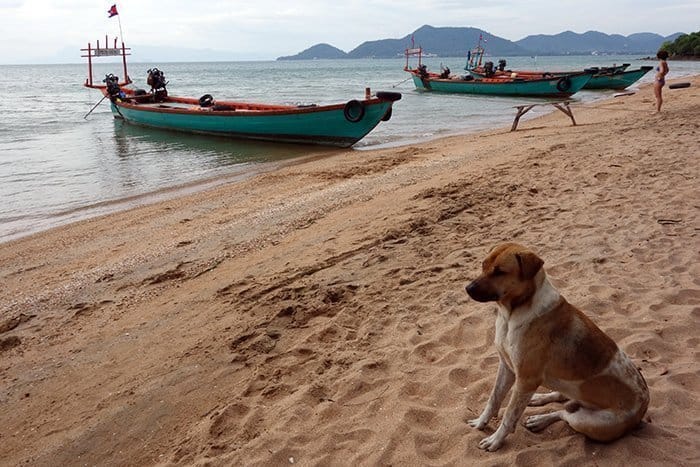 Christmas in Cambodia, Christmas on a beach, kampot, kep, rabbit island, Koh tonsay, Christmas in Asia, Christmas Cambodia,Koh Tonsay Cambodia, Spending Christmas on the beach: A day of adventure to find paradise on a Cambodian Island for a different type of celebration, Beach, abroad, Cambodia, Kep, Kampot, Siem Reap, Angkor Wat, Adventure, Beach, sea, swim, island, Koh, rabbit island, Koh Tonsay, bungalow, bungalow on the beach, drinking from a coconut, Santa, hot Christmas, Christmas in Southeast Asia, 