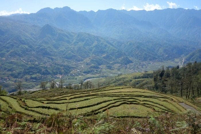 Trekking with H'Mong minority hill tribe through the rice terraces and mountains of Sapa. A highlight of Vietnam, Lao Cai, H'Mong, Red Dao, black Hmong, hill tribe, homestay, home stay, trekking tour, Sapa, Sa Pa, China border, how to get to Sapa, Hanoi, train, bus, tour, lilys travel, Sapa tours, trekking Sapa, Sapa Homestay, Trekking in Sapa, Rice terraces, Fansipan, 