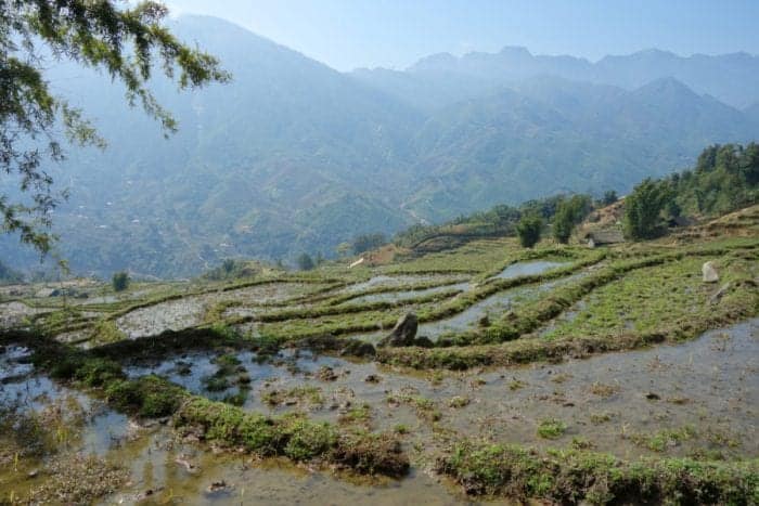 Trekking with H'Mong minority hill tribe through the rice terraces and mountains of Sapa. A highlight of Vietnam, Lao Cai, H'Mong, Red Dao, black Hmong, hill tribe, homestay, home stay, trekking tour, Sapa, Sa Pa, China border, how to get to Sapa, Hanoi, train, bus, tour, lilys travel, Sapa tours, trekking Sapa, Sapa Homestay, Trekking in Sapa, Rice terraces, Fansipan, 