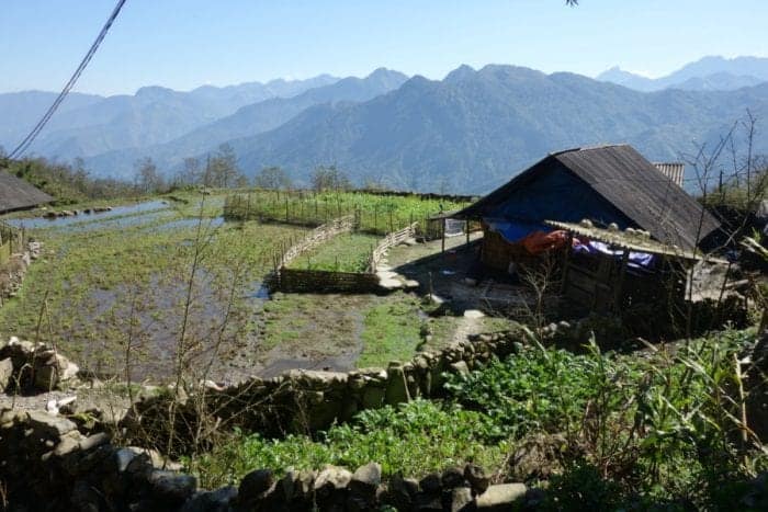 Trekking with H'Mong minority hill tribe through the rice terraces and mountains of Sapa. A highlight of Vietnam, Lao Cai, H'Mong, Red Dao, black Hmong, hill tribe, homestay, home stay, trekking tour, Sapa, Sa Pa, China border, how to get to Sapa, Hanoi, train, bus, tour, lilys travel, Sapa tours, trekking Sapa, Sapa Homestay, Trekking in Sapa, Rice terraces, Fansipan, 