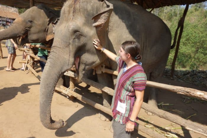 A guide to Chiang Mai: The amazing and adventure filled Thai city that instantly felt like home, Chiang Mai things to do, Doi Suthep, views, Elephants, elephant trekking, Elephant no riding, Elephant sanctuary, zipline, zip lining, jungle, gibbons, flight of the gibbon, temples, hiking, homestay, trekking, rent a scooter, rent a motorbike, pai, how to get to Pai from Chiang Mai, Mekong slow boat, Laos, Chiang Rai, Wat Suan Dok, Wat Pan Tao, Wat Pansao, Wat Lok Malee, Wat Sri Suphan, Wat Chiang Man, Wat Jet Yot, pad Thai, vegetarian food, markets, night market, Chiang Mai guide, what to do in Chiang Mai, Bangkok to Chiang Mai, monks trail, 
