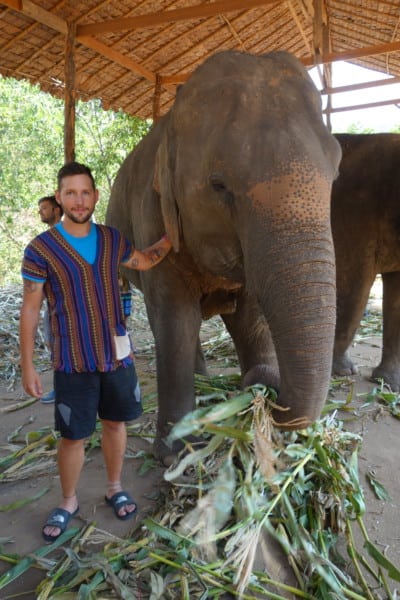 A guide to Chiang Mai: The amazing and adventure filled Thai city that instantly felt like home, Chiang Mai things to do, Doi Suthep, views, Elephants, elephant trekking, Elephant no riding, Elephant sanctuary, zipline, zip lining, jungle, gibbons, flight of the gibbon, temples, hiking, homestay, trekking, rent a scooter, rent a motorbike, pai, how to get to Pai from Chiang Mai, Mekong slow boat, Laos, Chiang Rai, Wat Suan Dok, Wat Pan Tao, Wat Pansao, Wat Lok Malee, Wat Sri Suphan, Wat Chiang Man, Wat Jet Yot, pad Thai, vegetarian food, markets, night market, Chiang Mai guide, what to do in Chiang Mai, Bangkok to Chiang Mai, monks trail, 
