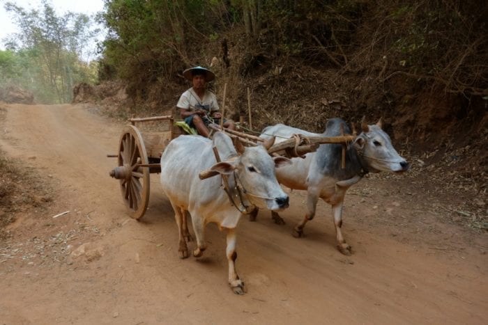 What to expect when you visit Myanmar (Burma): The wonderful, surreal & authentic side of South East Asia, Bagan, Visa, border crossing, Kalaw, trek, Lake inle, culture, villages, temples, Golden Rock, How to visit myanmar, Tips for visiting Myanmar, hiking, homestay, monk, schwedagon pagoda, accommodation, Myanmar Travel, 