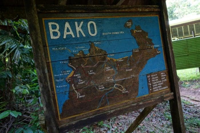 Bearded Pig, Hipster pig, bako national park accommodation, bako national park tour, bako national park Entrance Fee, bako national park Hotel, bako national park day trip, Staying in bako national park, bako national park Borneo, Bako accommodation, bako national park price, bako national park lodge, Bako Borneo, Malaysia, How to get to bako national park from Kuching, Exploring the Bako National Park, Borneo: Stepping into the real Jurassic Park that is teeming with amazing animals, wildlife and jaw dropping landscapes, Proboscus Monkey, Probiscus Monkey, how to see the Proboscus monkey in Borneo, Crocodile, Hermit Crab, Viper, Spider, Poisonous Frog, Stick Insect, macaque, attack, dangerous, snake, night walk, hostel, tips, 