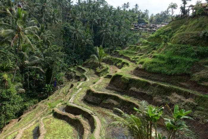 Things to do in Bali, off the beaten track Bali, Off the beaten path Bali, alternative things to do in Bali, tourists, is bali too touristy, too many tourists in Bali, waterfalls, rice terraces, temples, real Bali, Authentic Bali, scooter Bali, hiring a scooter in Bali, Tegenungan Waterfall, Gitgit waterfal, Munduk Waterfall, Aling Aling Waterfall, Sekumpul Waterfall, NungNung Waterfall, Mt Agung, Mt Batur, live volcano Bali, hiking Bali, adventure Bali, Tanah Lot, Besakih Temple, Pura Tirta Empul, Pura Ulun Danu Beratan, Pura Dalem Agung, Goa Gajah, Ubud, best places to stay in Bali, away from the tourists, Gunung Kawi, Ubud Palace, Tegallaland rice terraces, price, Jatiluwih rice terraces, hindu festivals, festivals Bali, Beaches, dirt bike, Surfing, local culture, gate, Monkey forest, sacred monkey temple, monkey on head Bali, Java, transport, ferry