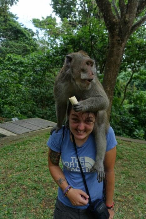 Things to do in Bali, off the beaten track Bali, Off the beaten path Bali, alternative things to do in Bali, tourists, is bali too touristy, too many tourists in Bali, waterfalls, rice terraces, temples, real Bali, Authentic Bali, scooter Bali, hiring a scooter in Bali, Tegenungan Waterfall, Gitgit waterfal, Munduk Waterfall, Aling Aling Waterfall, Sekumpul Waterfall, NungNung Waterfall, Mt Agung, Mt Batur, live volcano Bali, hiking Bali, adventure Bali, Tanah Lot, Besakih Temple, Pura Tirta Empul, Pura Ulun Danu Beratan, Pura Dalem Agung, Goa Gajah, Ubud, best places to stay in Bali, away from the tourists, Gunung Kawi, Ubud Palace, Tegallaland rice terraces, price, Jatiluwih rice terraces, hindu festivals, festivals Bali, Beaches, dirt bike, Surfing, local culture, gate, Monkey forest, sacred monkey temple, monkey on head Bali, Java, transport, ferry