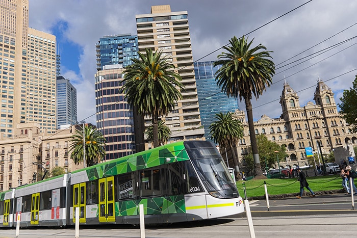 A tram on a street in Melbourne's CBD with palm trees and buildings in the background.
