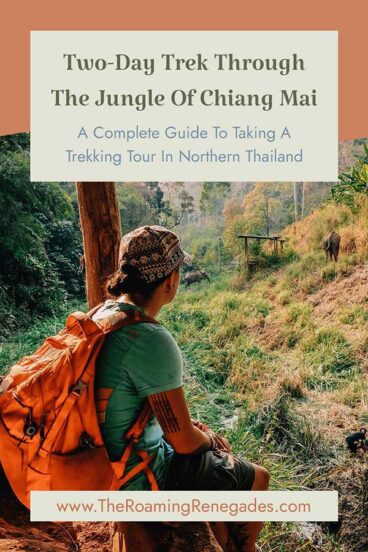 A Guide To Jungle Trekking in Chiang Mai, Thailand [FOR 2026]