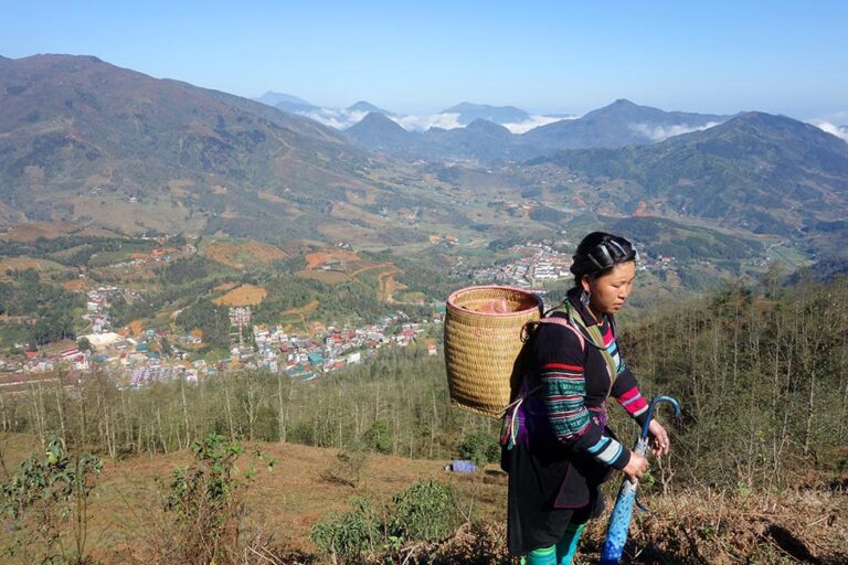 A H'mong woman in traditional clothing is walking through a field with Sapa town below and mountains in the distance in Vietnam
