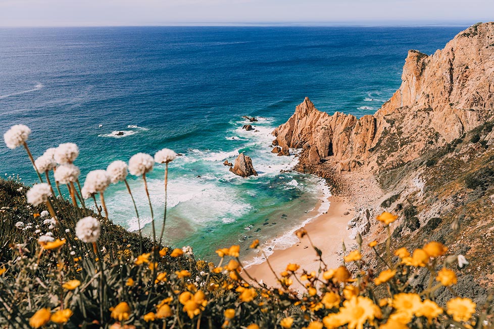 Looking out over Capo de Roca in Portugal at the beach and coastline below which is the most Westerly point of mainland Europe. The water is clear and blue and its a sunny day, there are yellow flowers in the foreground