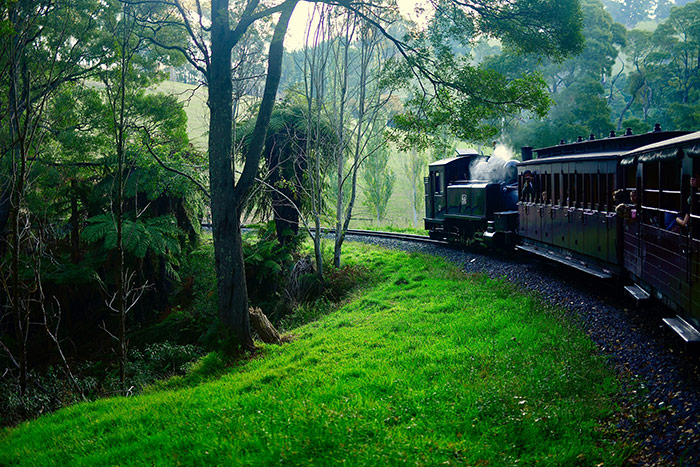 The view of the Dandenong Ranges from the Puffing Billy steam train
