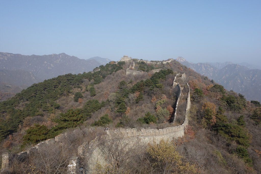 A wild and unkept section of the Great Wall of China near Mutianyu. you can see overgrow trees and bushes in the wall and mountains in the distance